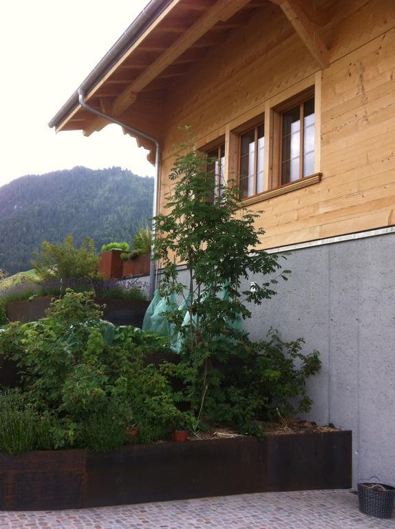 Chalet Park Apartment Mit Sauna Hamam Diemtigen Номер фото