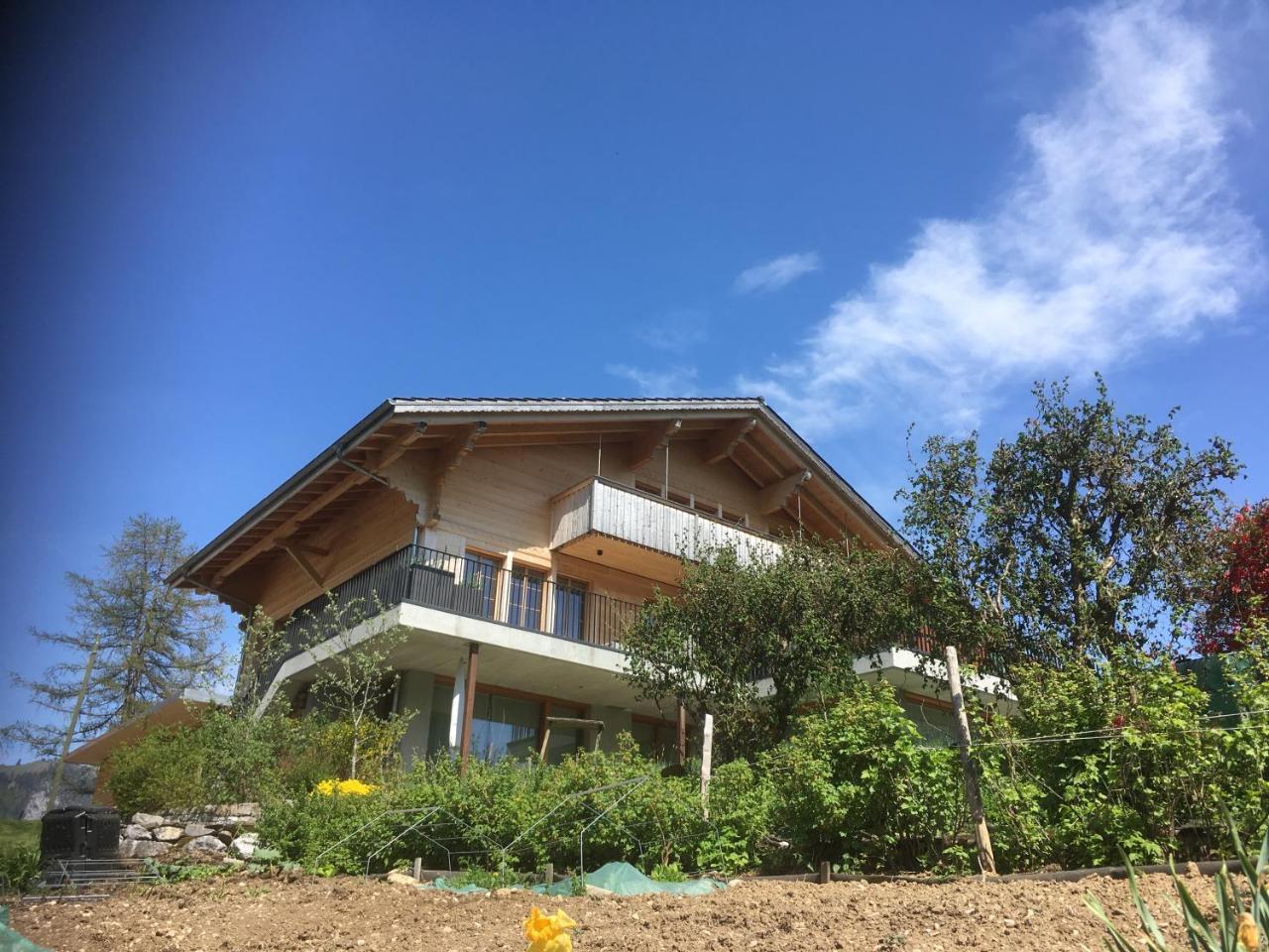 Chalet Park Apartment Mit Sauna Hamam Diemtigen Экстерьер фото