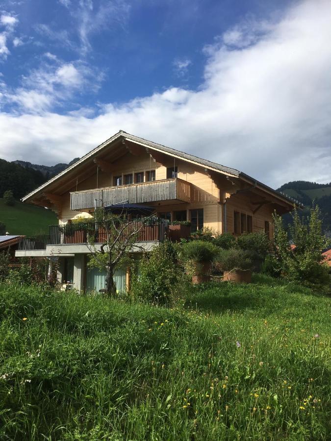 Chalet Park Apartment Mit Sauna Hamam Diemtigen Экстерьер фото
